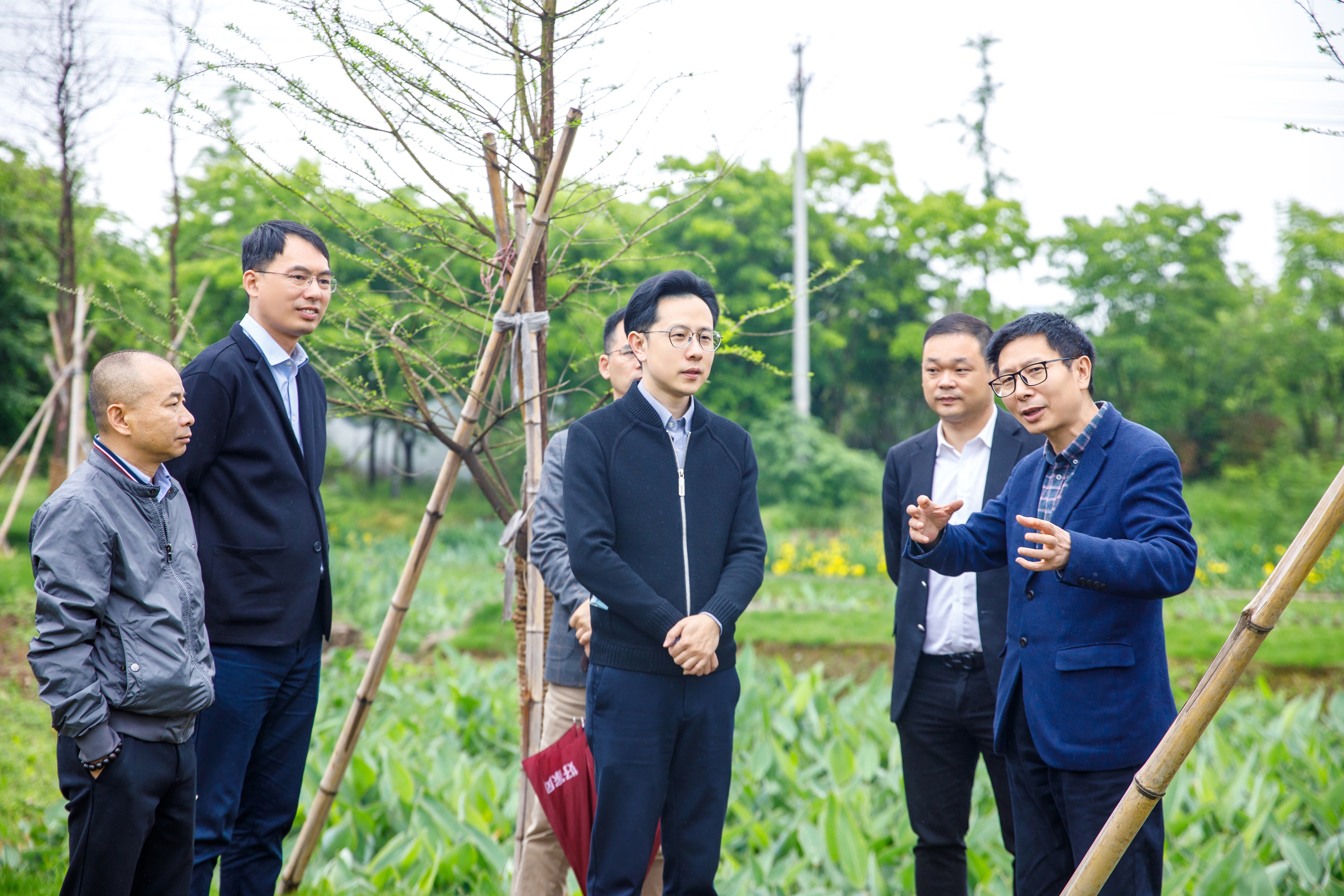 浙江省建設(shè)廳村鎮(zhèn)建設(shè)處處長吳毅峰率隊(duì)來我司農(nóng)污項(xiàng)目開展工作督導(dǎo)